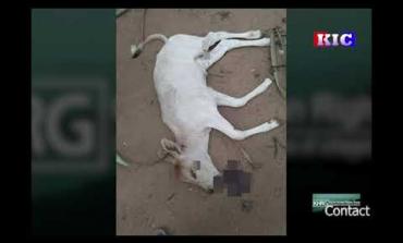 Embedded thumbnail for SAC သုးကဘီယူၤတၢ်ခးလီၤတၢ် ဘၣ်သံသဝီဖိ (၄) ဂၤ ဒီး ဘၣ်ဒိ (၉) ဂၤ, ပၣ်ဃုာ်ဒီးဖိသၣ်သ့ၣ်တဖၣ် ဖဲ ဒီၣ်ဖါခိၣ်ကီၢ်ဆၣ် (လါဖ့ၤဘြူၤအါရံၤ ၂၀၂၄ နံၣ်)